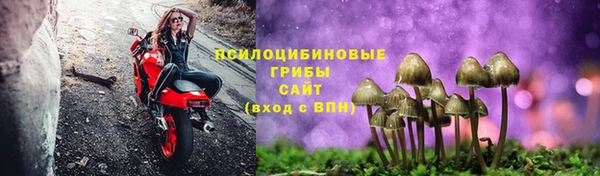 a pvp Белоозёрский