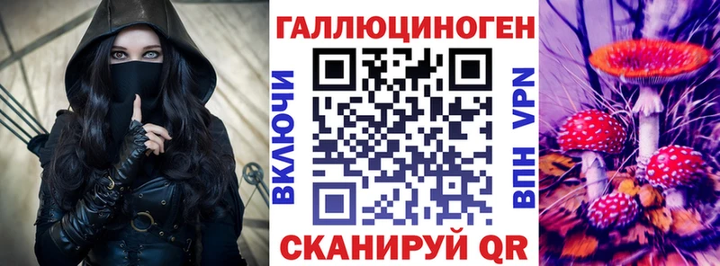 Галлюциногенные грибы MAGIC MUSHROOMS  omg ссылка  Славгород  продажа наркотиков 