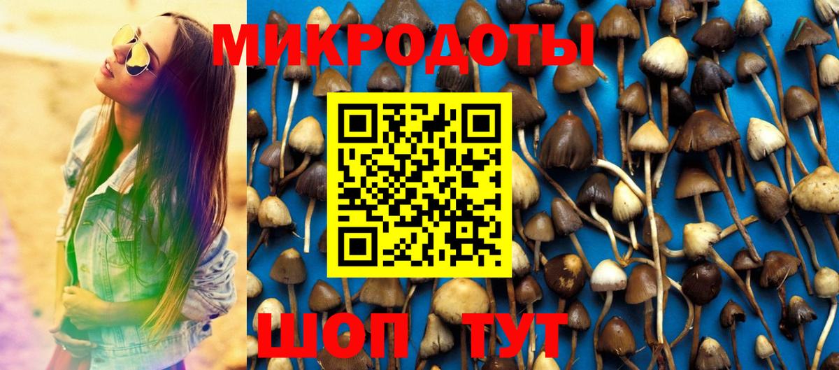 Псилоцибиновые грибы ЛСД  Вход с VPN  Славгород 
